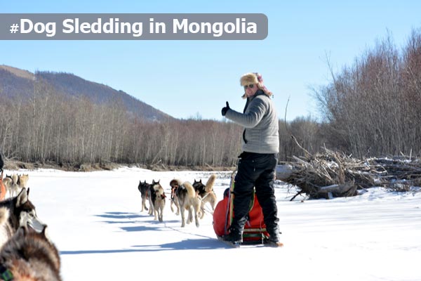 Dog Sledding in Mongolia