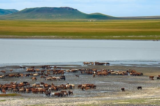 Mongolian Geography