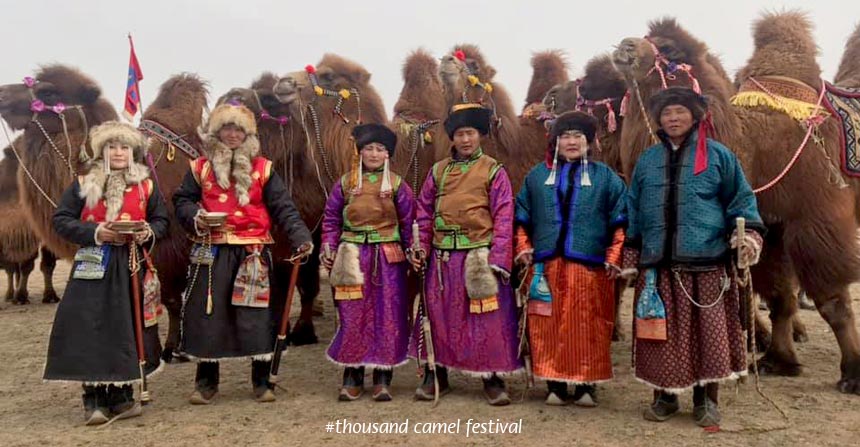 thousand-camel-festival Mongolia Thousand Camel Festival