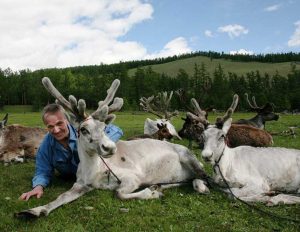 reindeer-tsaatan-khovsgol Reindeer herder or Tsaatan in Northern Mongolia