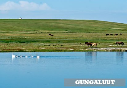 Gungaluut