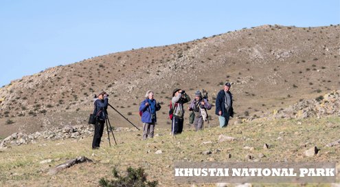 KHUSTAI NATIONAL PARK Hustai