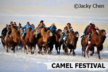 camel riding