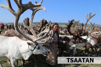 reindeer herders
