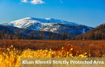 Khan-Khentii-Strictly-Protected-Area Khentii Mountain