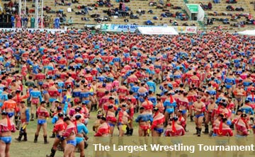 Mongolian Wrestling