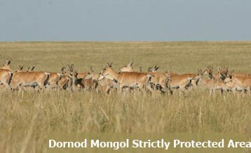 Дорнод-Монгол-Дархан-Цаазат-Газар-нутаг Dornod Mongol