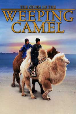 camel1